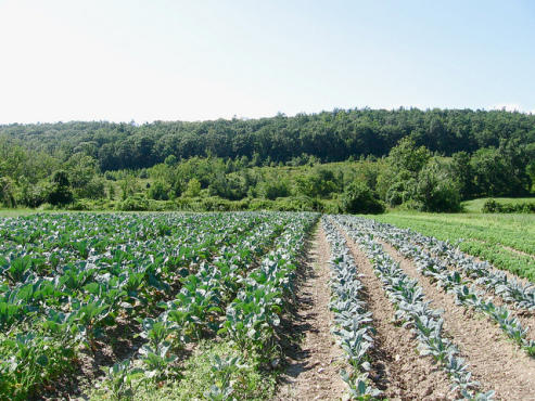 Hawthorne Valley