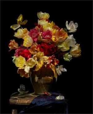 Alexander James, 'Grace', 2011