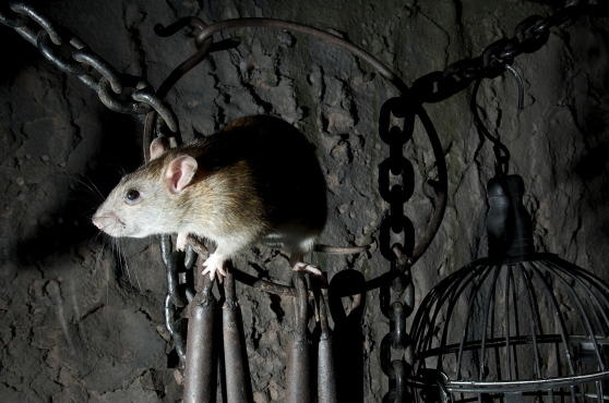 The London Dungeons