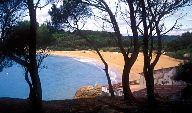 Platja del Castell