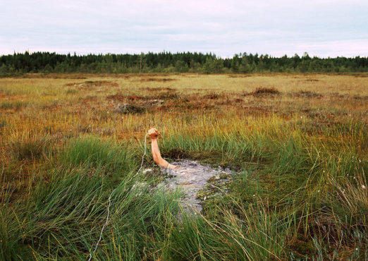 Antti Laitinen, 'Self-Portrait on the Swamp', 2006
