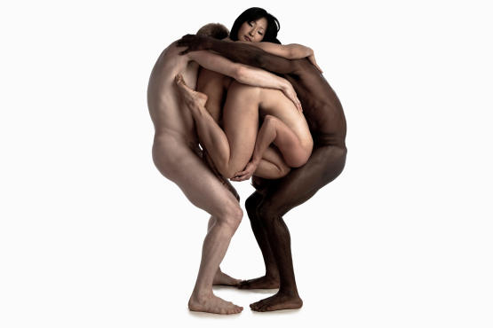 Pilobolus