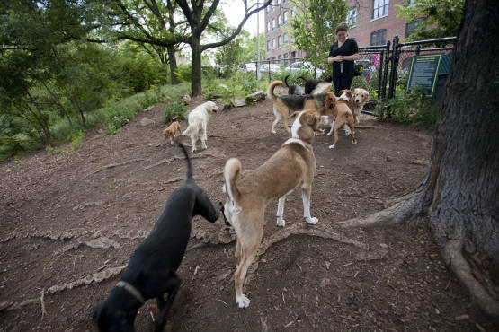Hillside Dog Park