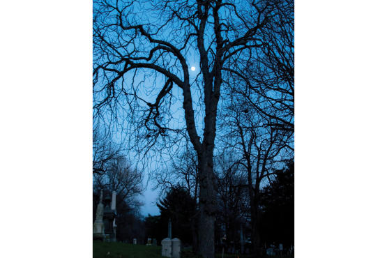 Green-Wood Cemetery