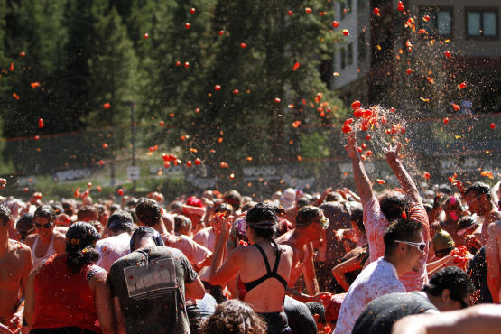 New York Tomato Battle