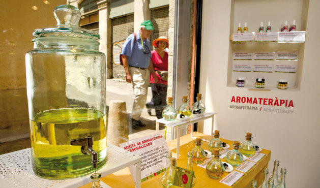 Taller Amapola