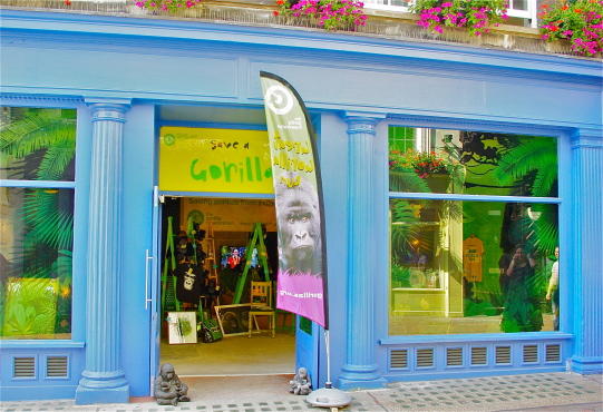 Great Gorilla Organization Pop up, Press Image, 2013