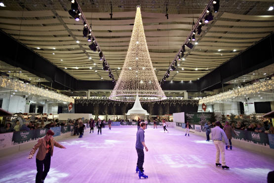 Ideal Home Show Christmas, Press Image, 2013