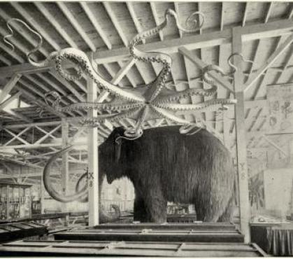0913.ttd.ev.openingthevaults.mammoth
