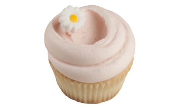343.rb.eo.cupcakes.magnolia.jpg