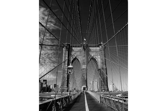 "Landmarks