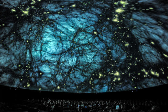 Dark Universe