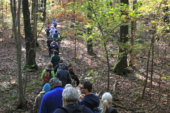 10th Annual After Thanksgiving Hike in the Greenbelt