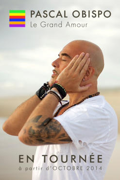 Pascal Obispo, Le Grand Amour, tournée 2014