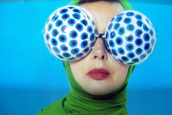 Isabella Rossellini, Green Porno