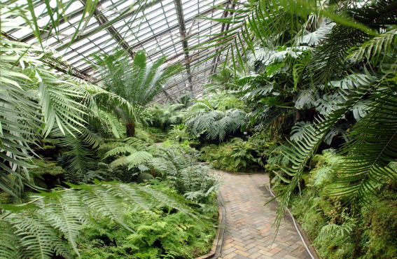 1.wk.at.ve.GarfieldParkConservatory