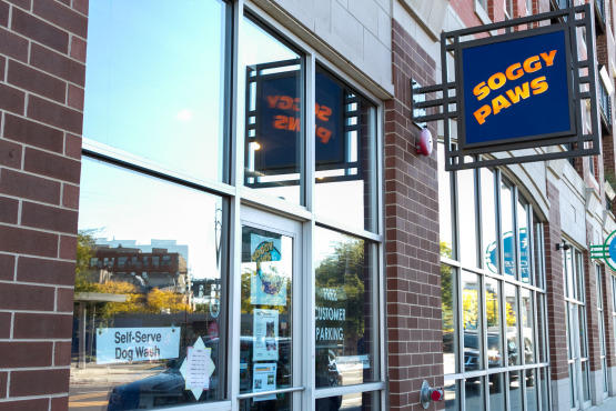 SoggyPaws.venue.jpg