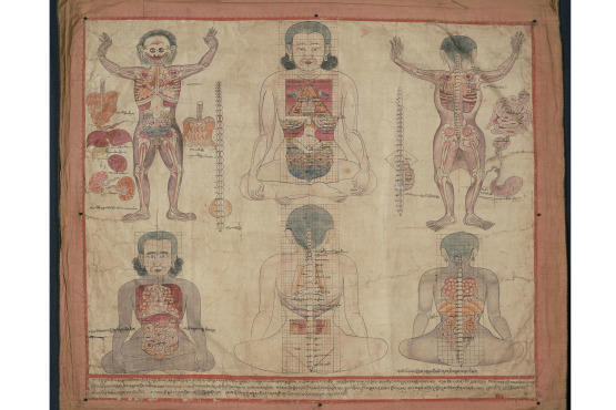 "Bodies in Balance: The Art of Tibetan Medicine" at the Rubin Museum of Art