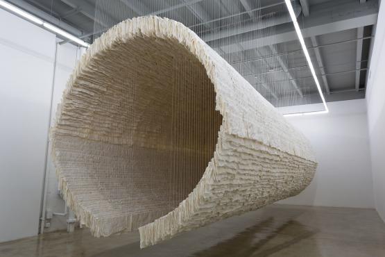 Rubell Family Collection