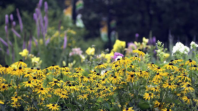 Lincoln Park Zoo Second Saturdays Garden Tour