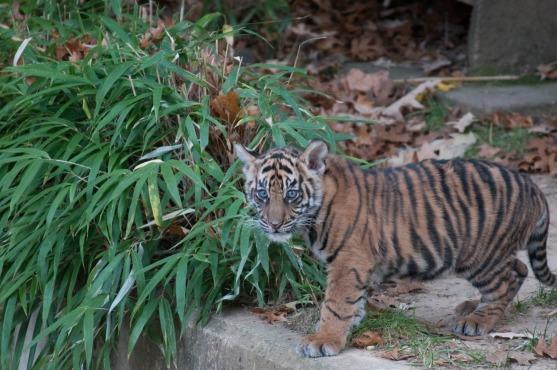 National Zoo