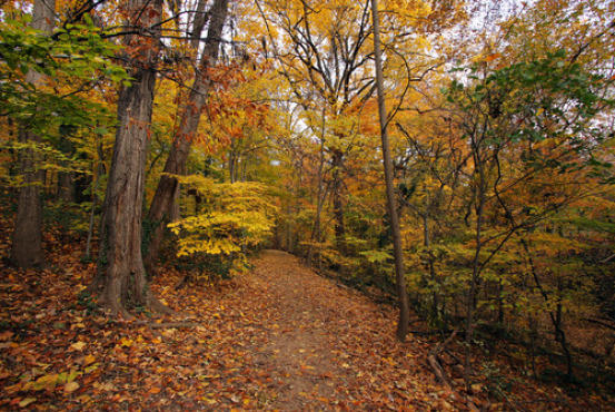 Rock Creek