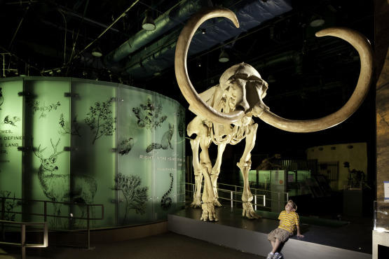 Nevada State Museum & Historical Society