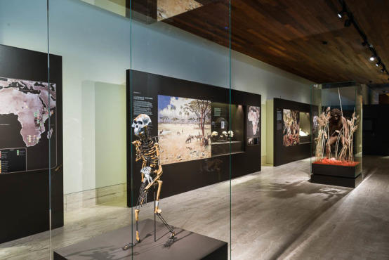 Museo Arqueológico Nacional