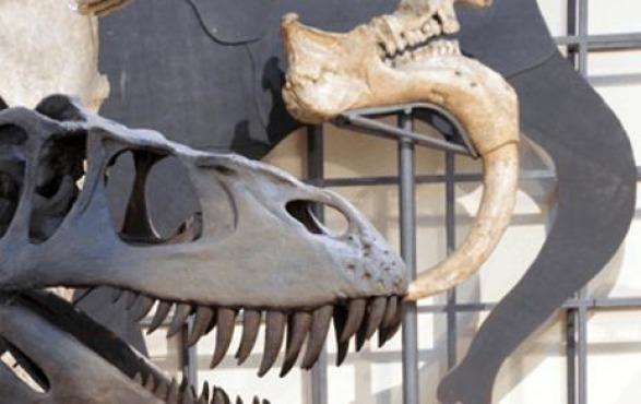 Museo Nacional de Ciencias Naturales