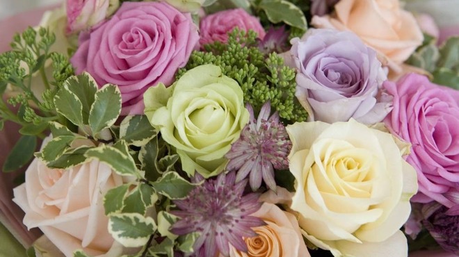 lamaisondesroses-gd005.jpg