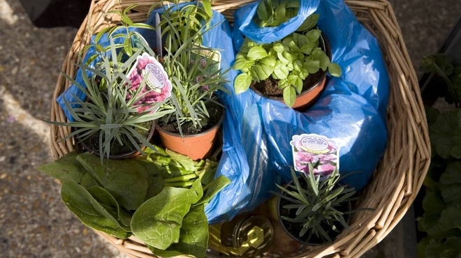 NottingHillFarmersM017.jpg