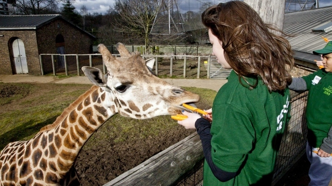 Keeper4ADay_RG016.jpg