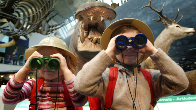 explorer backpacks in Whale Hall - 300dpi copyright Natural History Museum.jpg