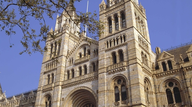 24180- Copyright Natural History Museum.jpg