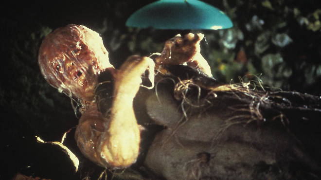 invasion of the body snatchers 1978 .jpg