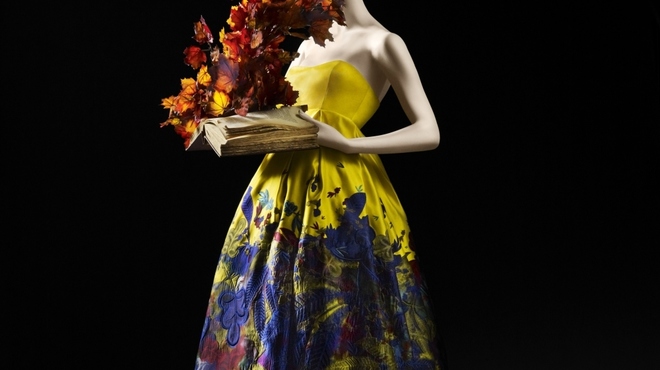 Erdem_AW_2008._Photograph__David_Hughes.JPG