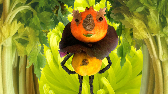 PICKLE_ret.jpg
