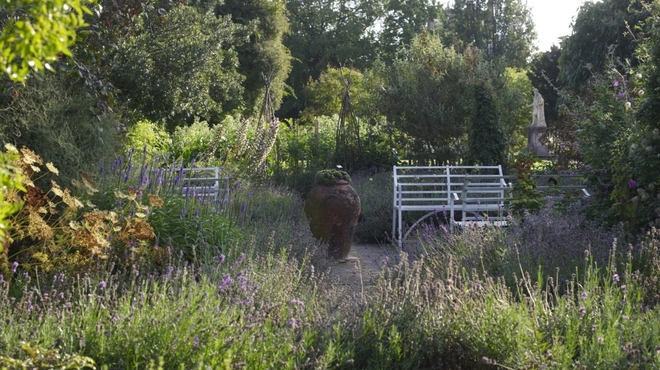 CPG copyright Charlie Hopkinson 3.jpg