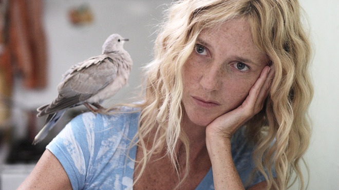 Bird - L'oiseau.JPG