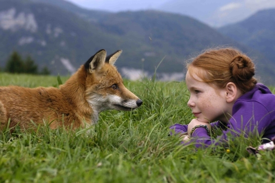 Renard07523.jpg