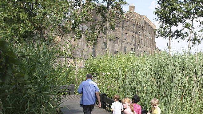 AT_camleystreetnaturalpark_CREDIT_Jonathan Perugia.jpg