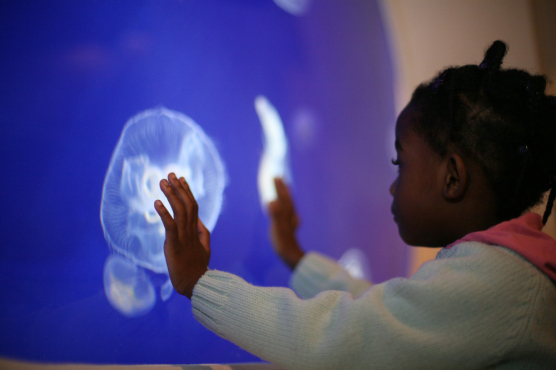Laura Mtungwazi Girl looking at Moon Jelly Fishpress.jpg