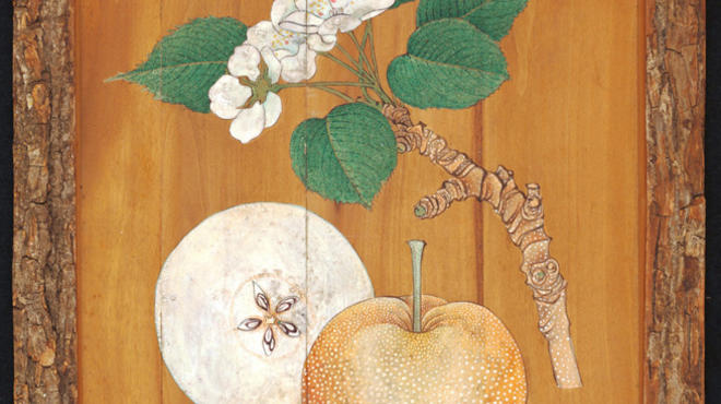 AT_Firsts_JapaneseXylarium_CREDIT_RoyalBotanic GardensKew_Press2011.jpeg