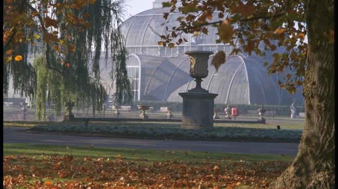 Kew Gardens_CREDIT_RBG Kew.jpg