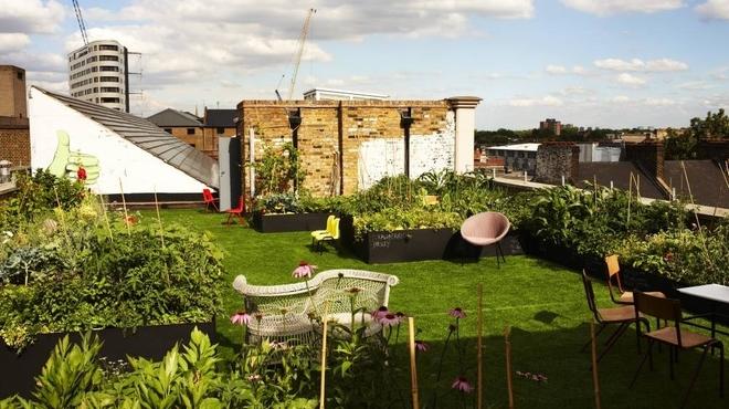 AT_DalstonRoofPark_press2011.jpg