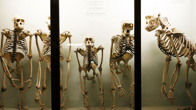 Horniman Museum006.jpg