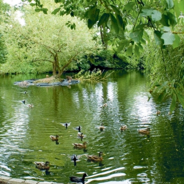 Feature_londonparks_CREDIT_Phil Fisk.jpg