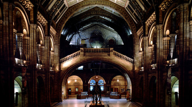 Central Hall and Dippy C Natural History Museum.jpg