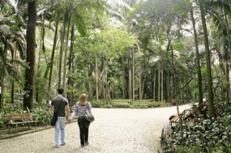 Parque Trianon, Sao Paulo, Brazil