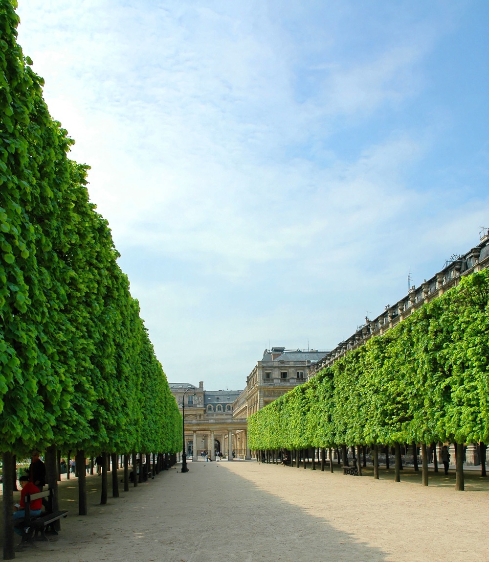 Palais-Royal | Attractions in Louvre, Paris